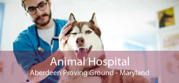 Animal Hospital Aberdeen Proving Ground - Maryland