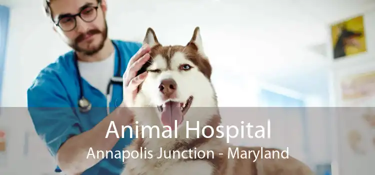 Animal Hospital Annapolis Junction - Maryland
