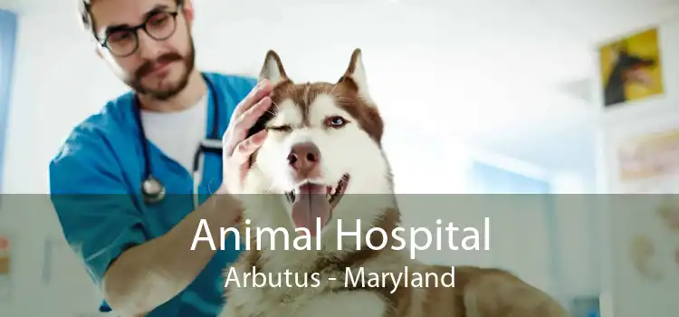 Animal Hospital Arbutus - Maryland