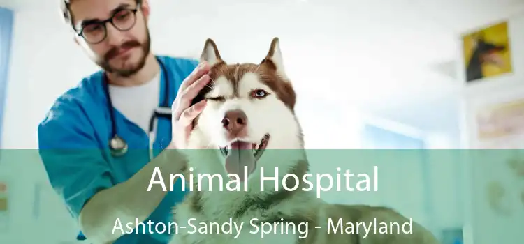 Animal Hospital Ashton-Sandy Spring - Maryland