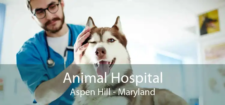 Animal Hospital Aspen Hill - Maryland
