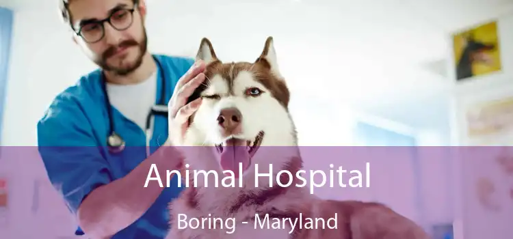 Animal Hospital Boring - Maryland