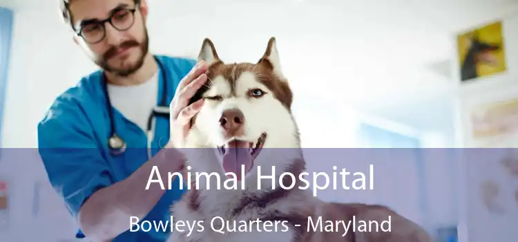 Animal Hospital Bowleys Quarters - Maryland