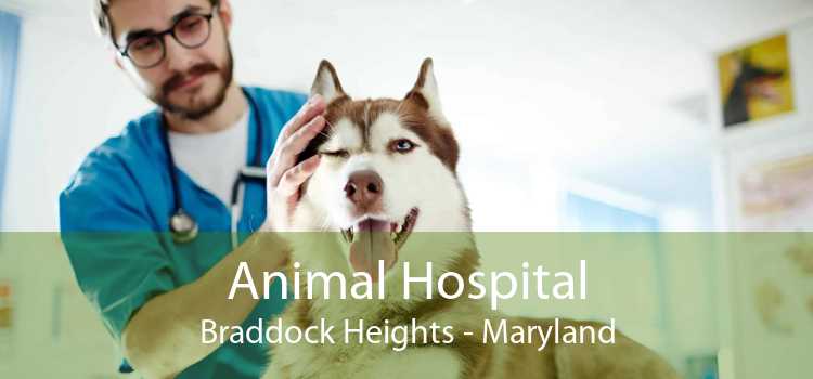 Animal Hospital Braddock Heights - Maryland