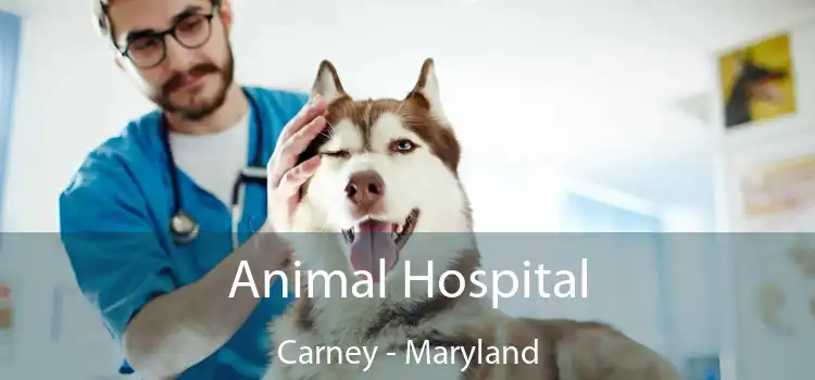 Animal Hospital Carney - Maryland