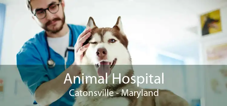 Animal Hospital Catonsville - Maryland