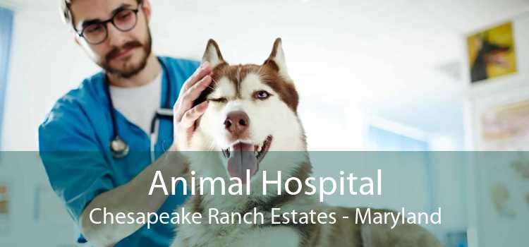 Animal Hospital Chesapeake Ranch Estates - Maryland