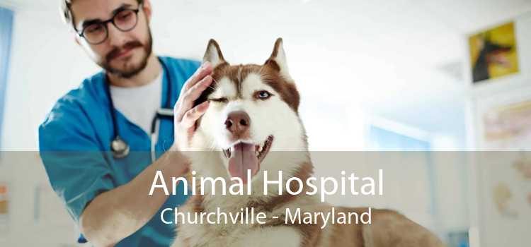Animal Hospital Churchville - Maryland