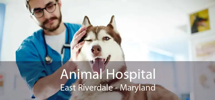 Animal Hospital East Riverdale - Maryland