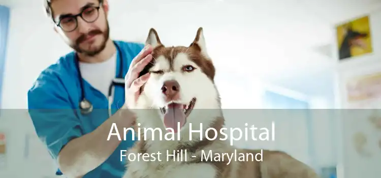 Animal Hospital Forest Hill - Maryland