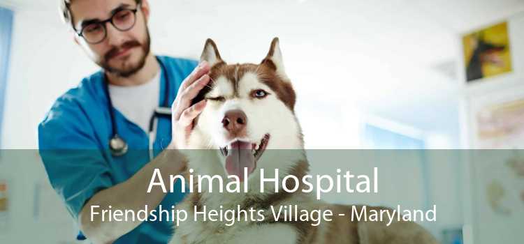 Animal Hospital Friendship Heights Village - Maryland