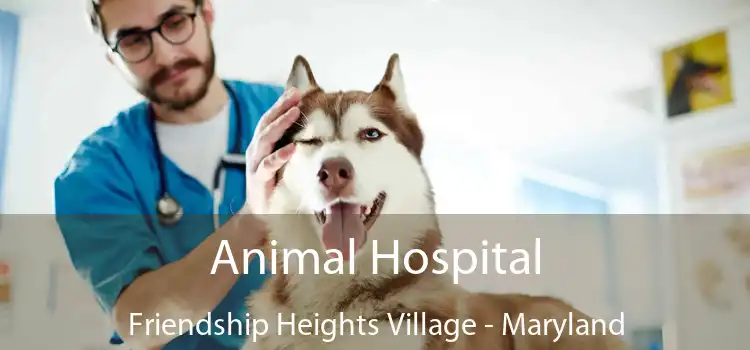 Animal Hospital Friendship Heights Village - Maryland