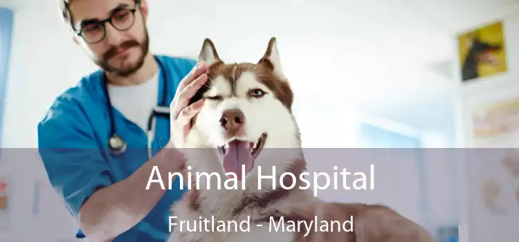 Animal Hospital Fruitland - Maryland