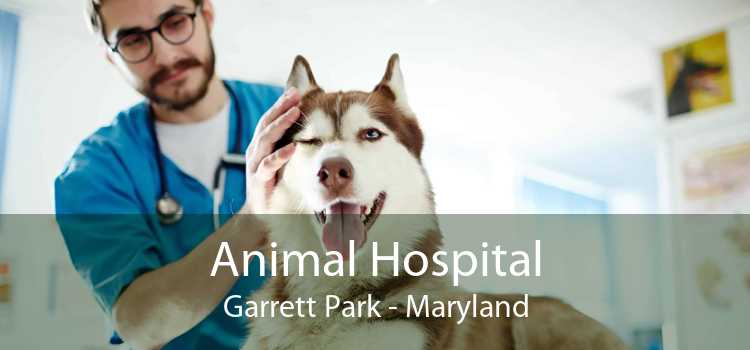 Animal Hospital Garrett Park - Maryland