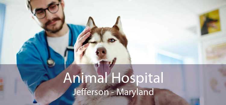 Animal Hospital Jefferson - Maryland
