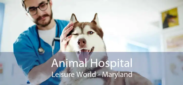 Animal Hospital Leisure World - Maryland