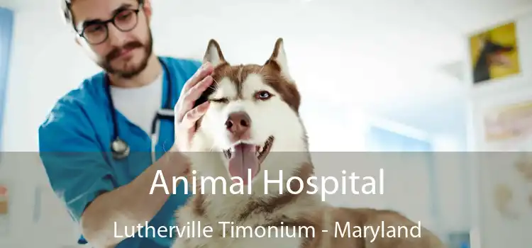 Animal Hospital Lutherville Timonium - Maryland