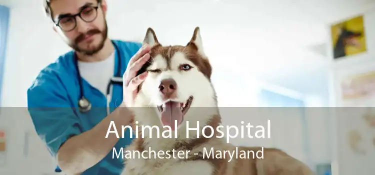 Animal Hospital Manchester - Maryland