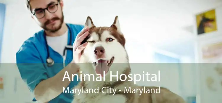 Animal Hospital Maryland City - Maryland