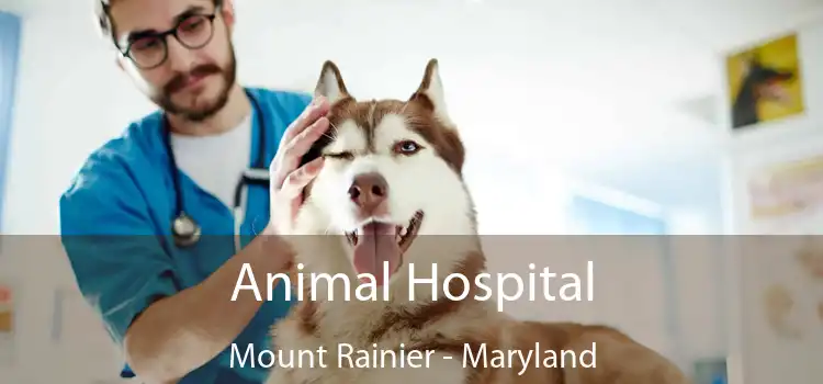 Animal Hospital Mount Rainier - Maryland