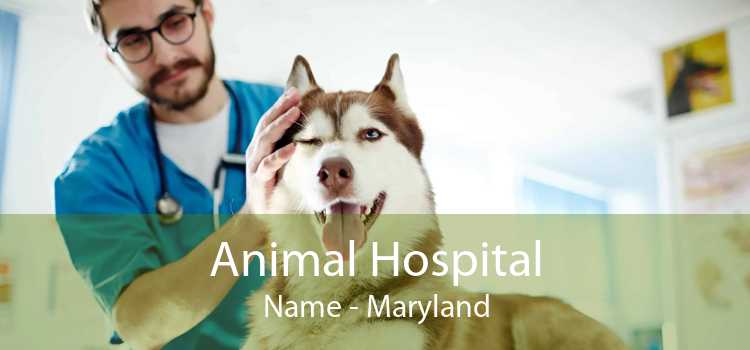 Animal Hospital Name - Maryland