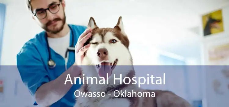 Animal Hospital Owasso - Oklahoma