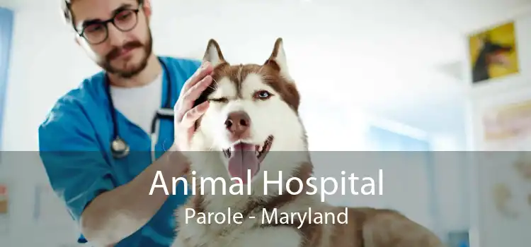 Animal Hospital Parole - Maryland