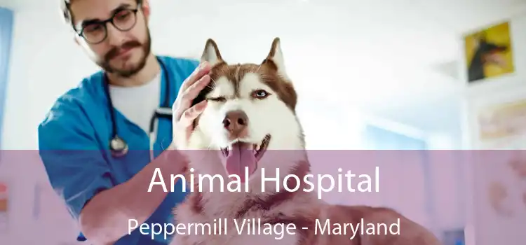 Animal Hospital Peppermill Village - Maryland