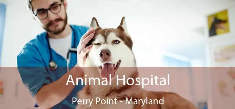 Animal Hospital Perry Point - Maryland