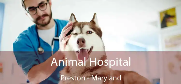 Animal Hospital Preston - Maryland