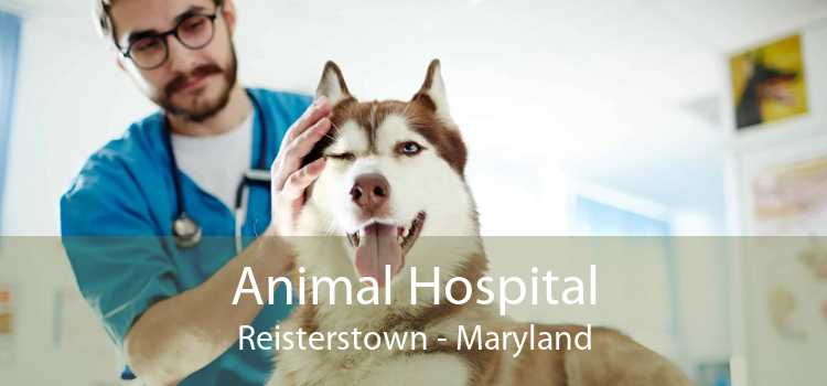 Animal Hospital Reisterstown - Maryland