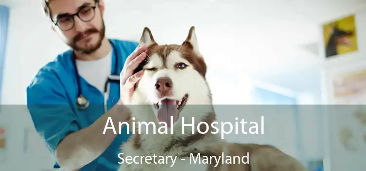 Animal Hospital Secretary - Maryland