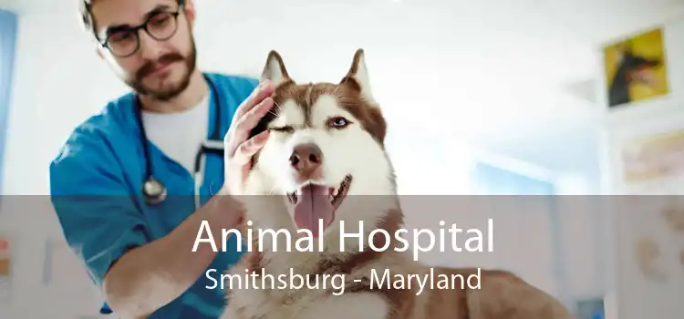 Animal Hospital Smithsburg - Maryland