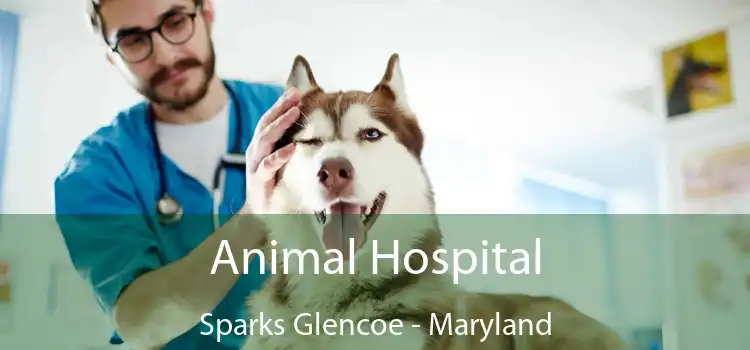 Animal Hospital Sparks Glencoe - Maryland