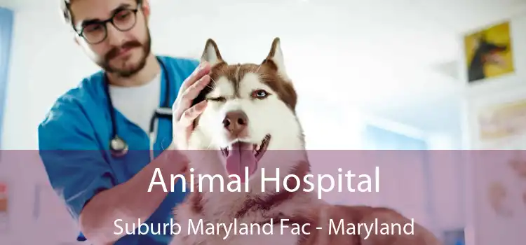 Animal Hospital Suburb Maryland Fac - Maryland