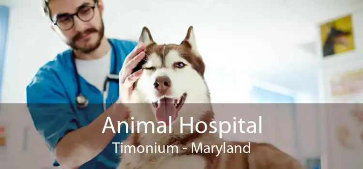 Animal Hospital Timonium - Maryland