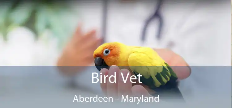 Bird Vet Aberdeen - Maryland