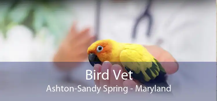 Bird Vet Ashton-Sandy Spring - Maryland