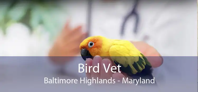 Bird Vet Baltimore Highlands - Maryland