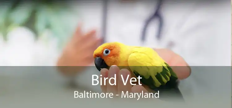 Bird Vet Baltimore - Maryland