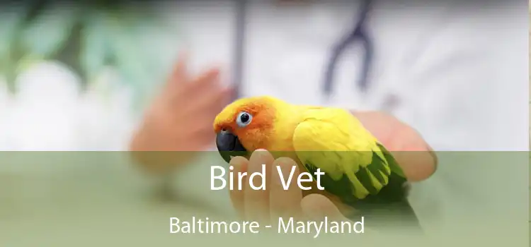 Bird Vet Baltimore - Maryland