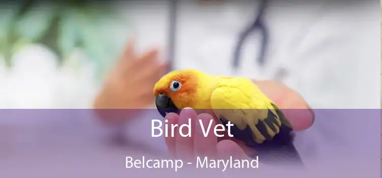 Bird Vet Belcamp - Maryland