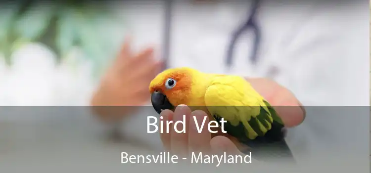 Bird Vet Bensville - Maryland