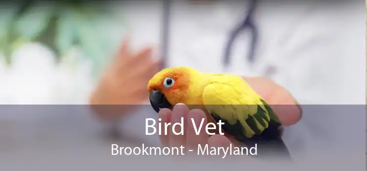 Bird Vet Brookmont - Maryland