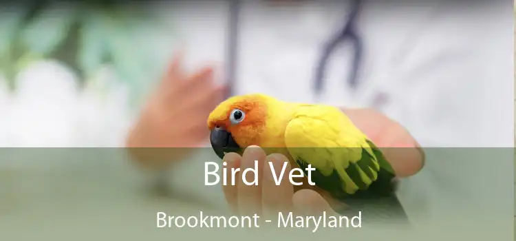 Bird Vet Brookmont - Maryland