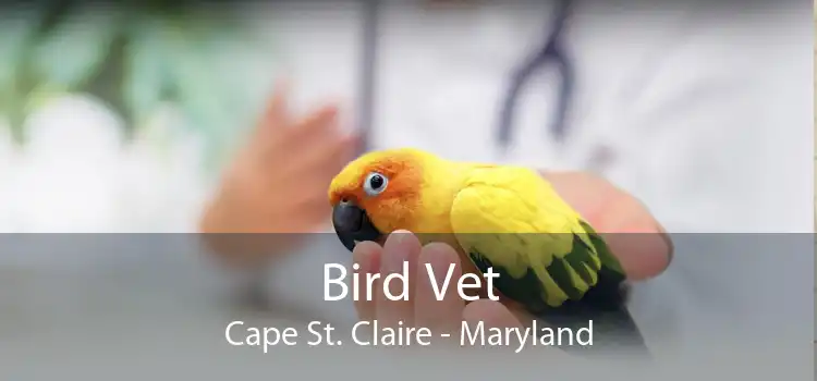 Bird Vet Cape St. Claire - Maryland