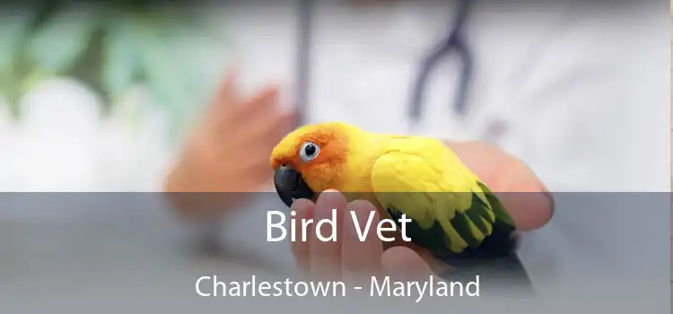 Bird Vet Charlestown - Maryland