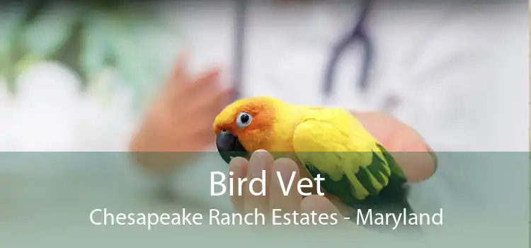 Bird Vet Chesapeake Ranch Estates - Maryland