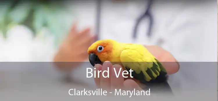 Bird Vet Clarksville - Maryland