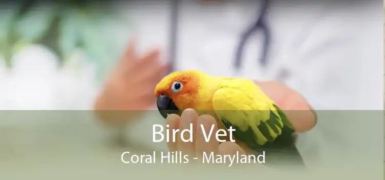 Bird Vet Coral Hills - Maryland